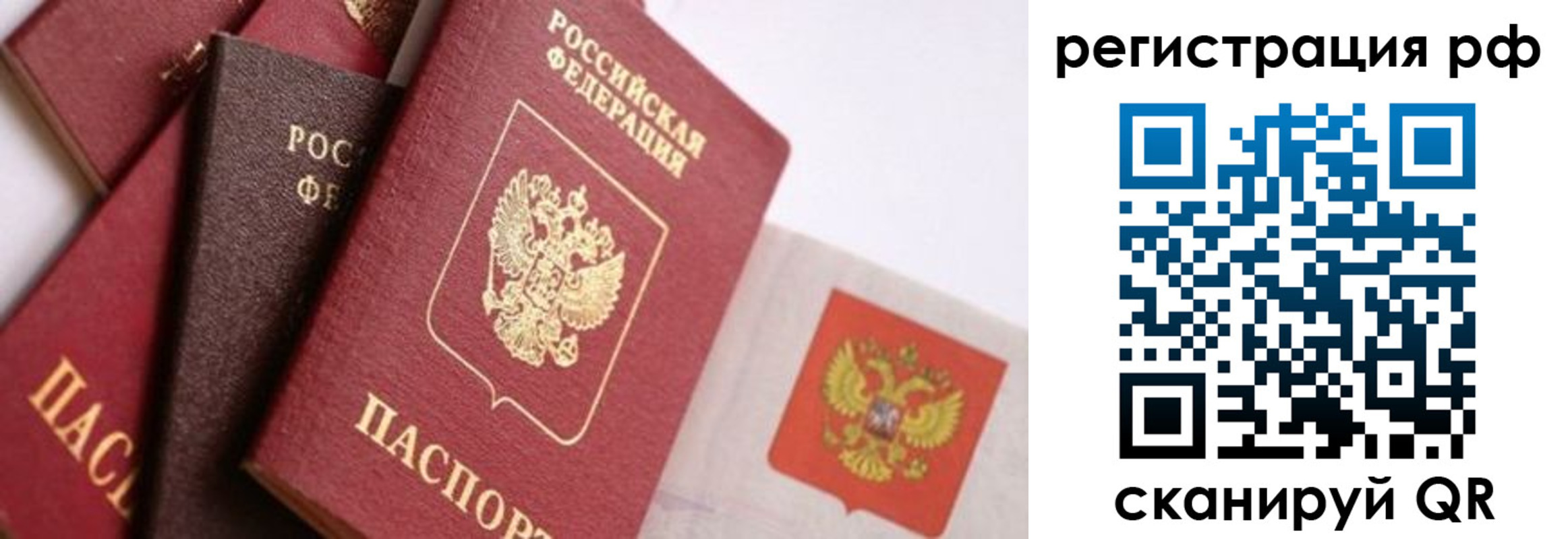 временная регистрация купить в Зее